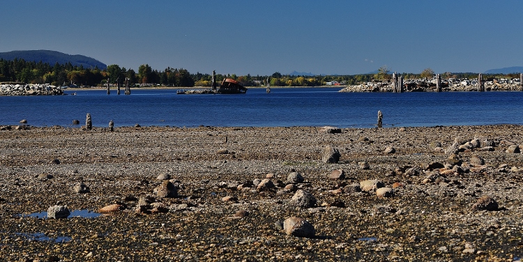 rocks at low tide